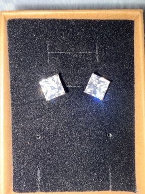 4ct Princess Cut in White Gold Stud Earrings